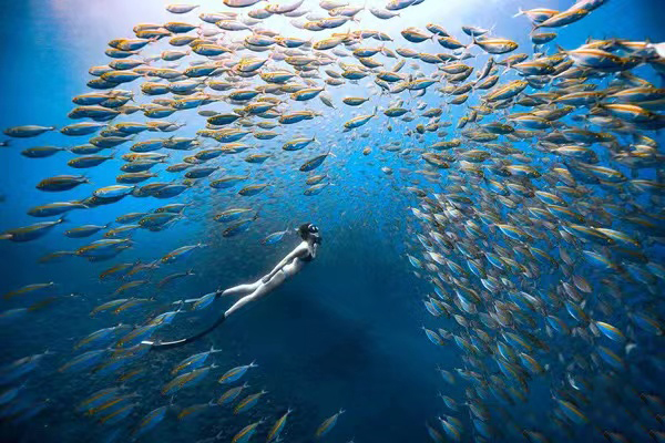 李艺（海南）《与鱼共舞-Dance With Fish》.jpg